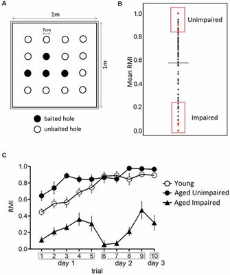 Dentate Gyrus Peroxiredoxin 6 Levels Discriminate Aged Unimpaired From Impaired Rats in a Spatial Memory Task